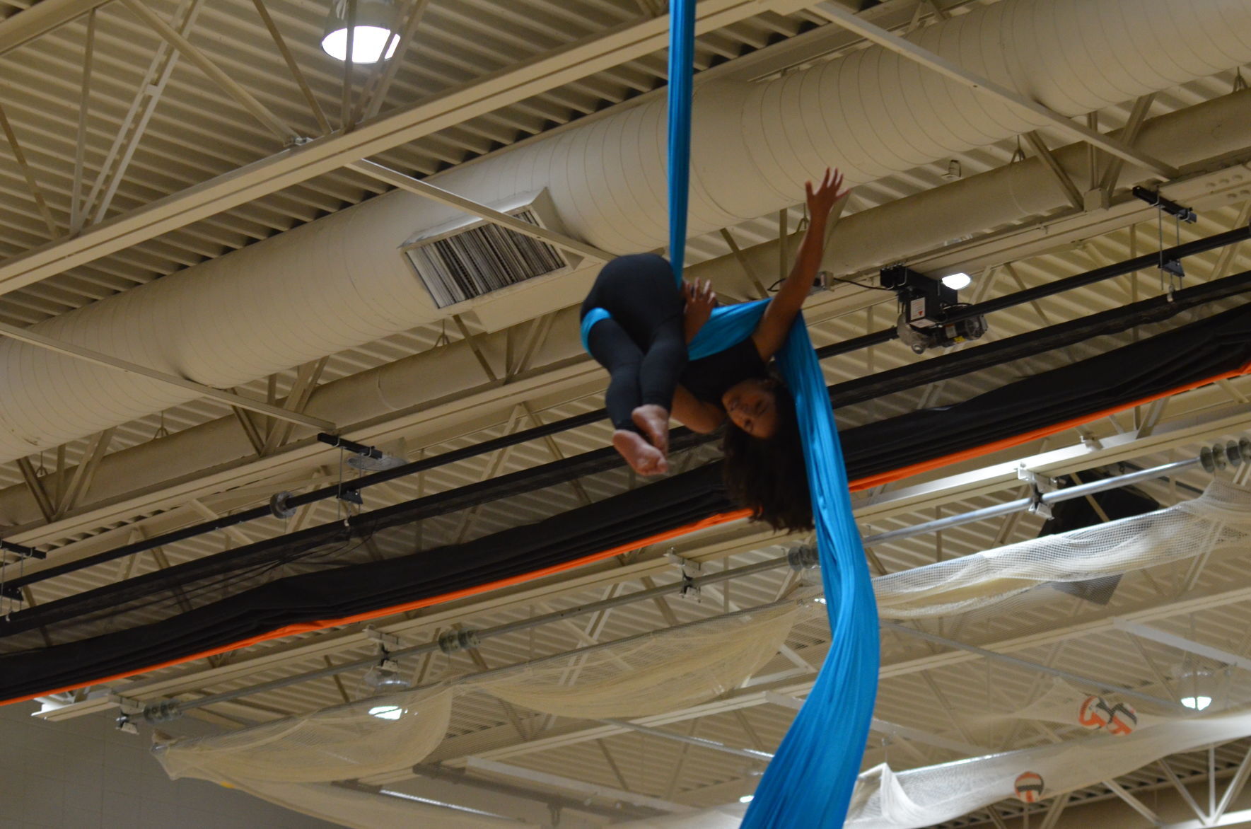 Williams Bay Aerial Acrobats
